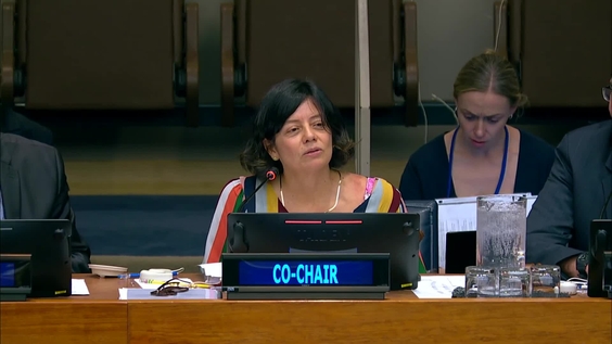 Preparatory Commission: Agreement on Marine Biological Diversity of Areas beyond National Jurisdiction (Second Session, Informal Working Group)