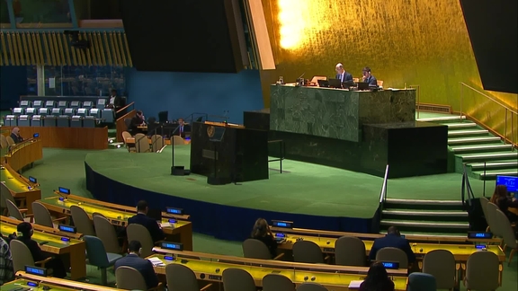 General Assembly: 60th plenary meeting, 79th session