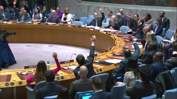 The question concerning Haiti - Security Council, 9444th meeting