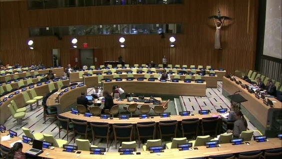 General Assembly: 88th plenary meeting (Continued)