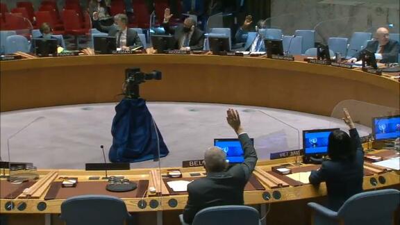 Question concerning Haiti - 8768th Meeting of Security Council