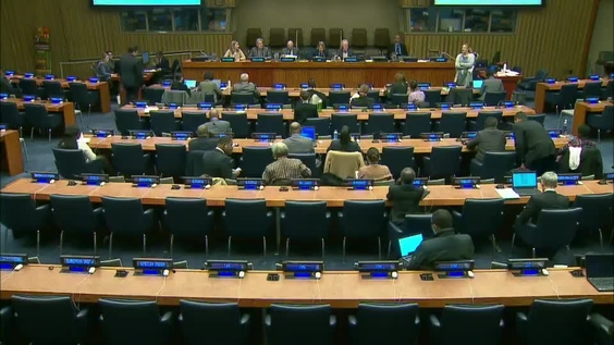 7th plenary - 51st session Commission on Population and Development