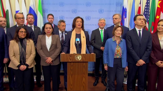 Tanja Fajon (Slovenia) on Human Rights Day - Security Council Media Stakeout