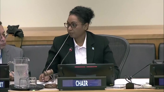 Special Committee on Decolonization (C-24) - 4th  plenary meeting, 2023 resumed session