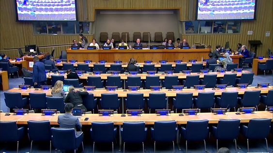 8th plenary meeting - 63rd Session of the Commission for Social Development (CSocD63)