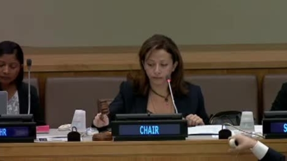 Third Committee, 20th meeting - 68th General Assembly