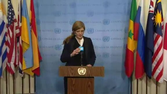 United States Representative Briefs Press on Syria