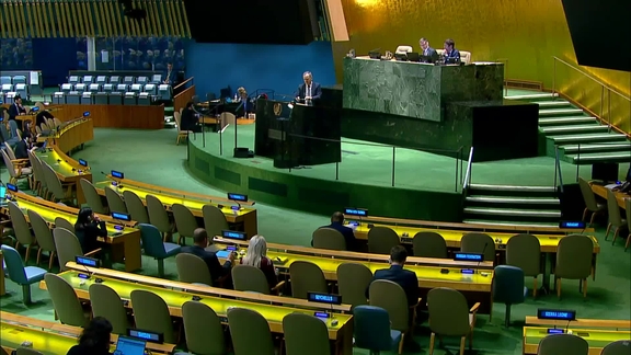 General Assembly: 33rd plenary meeting, 78th session