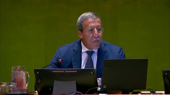 General Assembly: 106th Plenary meeting, 78th session