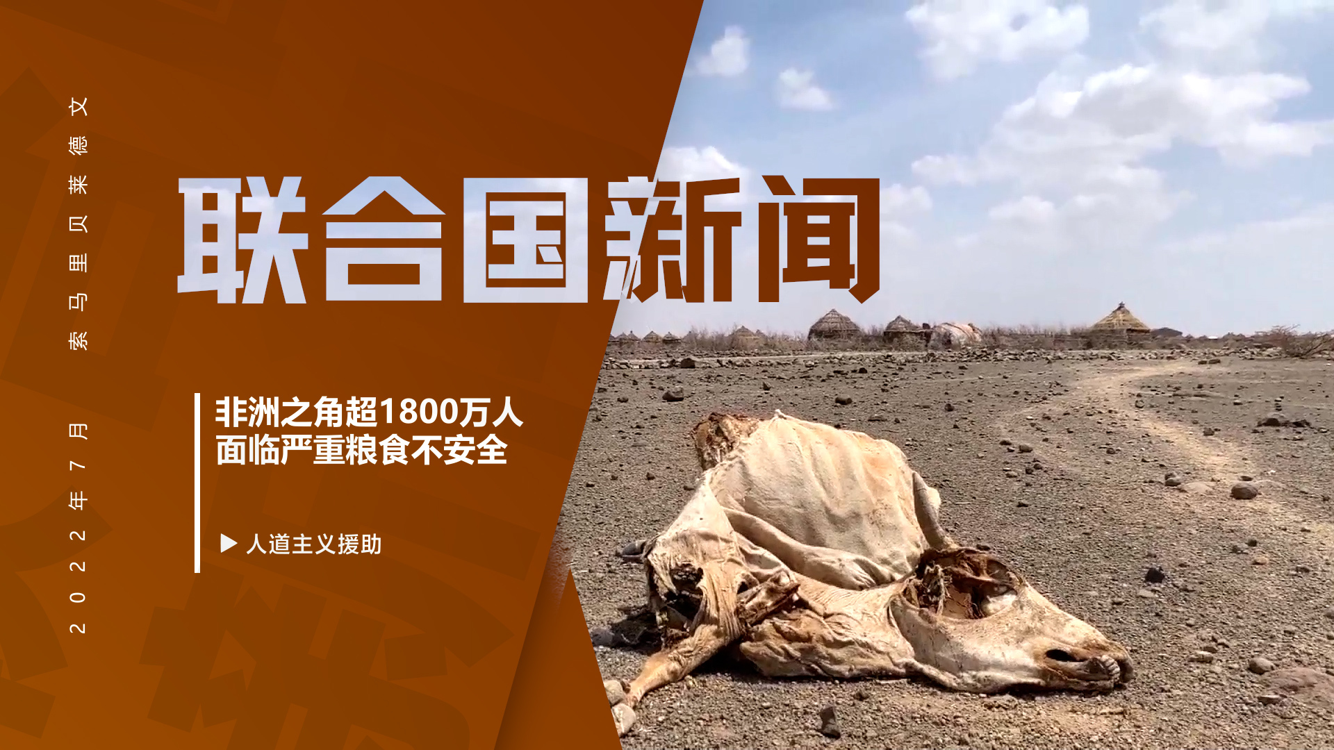 规避非洲之角饥荒风险 联合国粮农组织再次呼吁国际社会“慷慨解囊