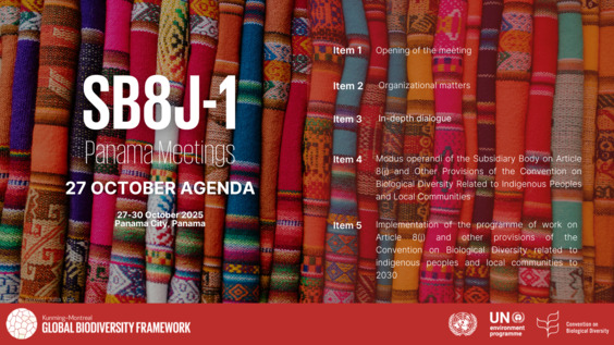 (2nd Session) First meeting