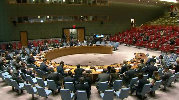 8020th Security Council Meeting: Maintenance of International Peace and Security