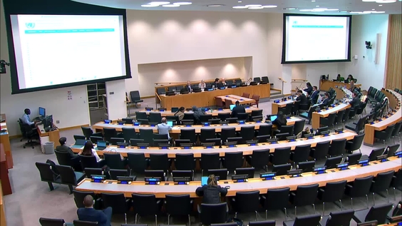 (22nd plenary meeting) Committee on Non-Governmental Organizations, 2026 resumed session, Economic and Social Council