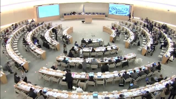 ID: Human rights in Sudan - 35th Meeting, 33rd Regular Session Human ...
