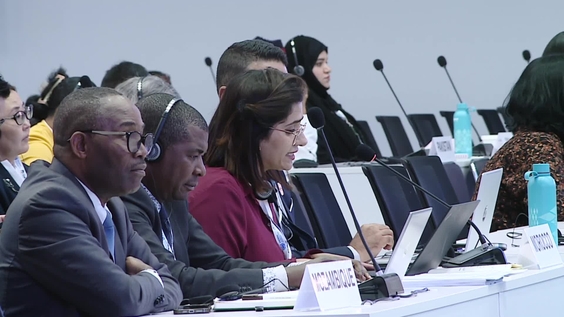 (1st Meeting) Committee of the Whole - UNCCD COP17
