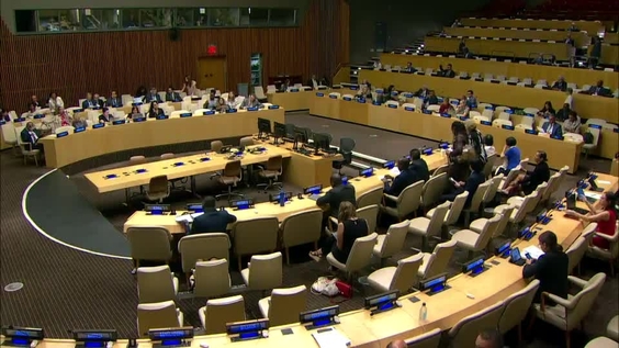 Executive Board of UNDP, UNFPA and UNOPS - Second Regular Session (3-6 September 2019) (4th meeting)
