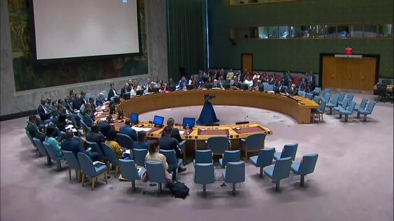 الوضع في العراق- مجلس الأمن الجلسة 9332