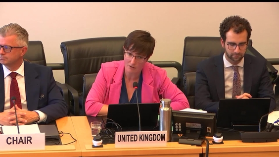 3091st Meeting, 113th Session, Committee on the Elimination of Racial Discrimination (CERD)