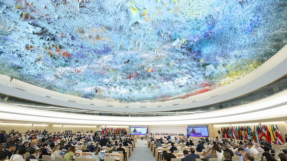 ILO 110th International Labour Conference: Plenary debates – Morning sitting