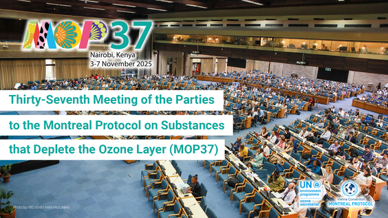 Thirty-Seventh Meeting of the Parties to the Montreal Protocol on ...