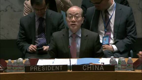 7385th Security Council meeting on the situation in Guinea-Bissau