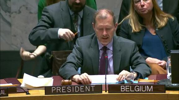 Situation in Somalia - 8731st Security Council Meeting