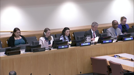 (5th meeting) Open-ended working group on conventional ammunition - Fourth substantive session