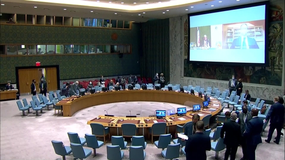 Small arms - Security Council, 8874th meeting