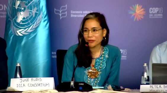 Press Conference: The Role of Human Rights-Based Approach for Biodiversity and Climate Action – United Nations Biodiversity Conference 2024