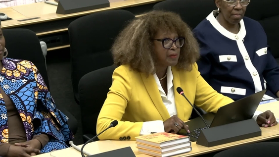 5th Meeting, 5th session of the Permanent Forum on People of African Descent