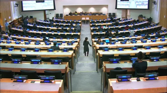 Second Committee, 20th meeting - General Assembly, 74th session