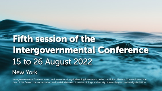 (58th plenary meeting) Intergovernmental Conference on Marine Biodiversity of Areas Beyond National Jurisdiction - Fifth session