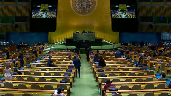 General Assembly: 15th plenary meeting, 80th session