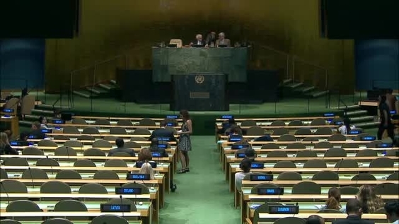 111th Plenary meeting - General Assembly, 70th session