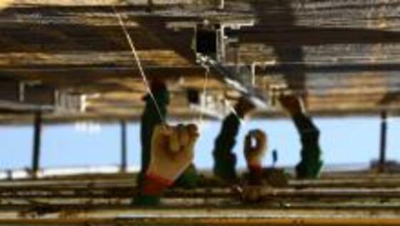 Contributive Justice: Why decent work matters and why it is under threat