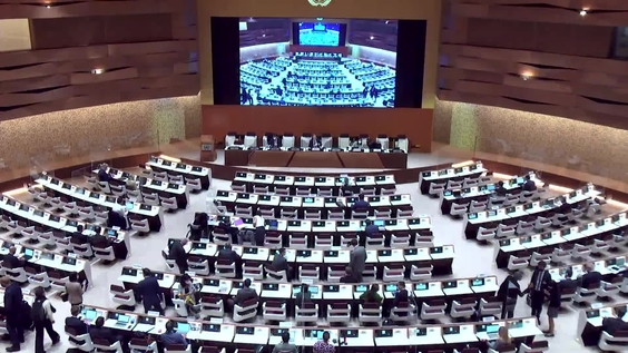 4th Meeting - 2nd Session Group of Governmental Experts on Lethal Autonomous Weapons Systems 2021