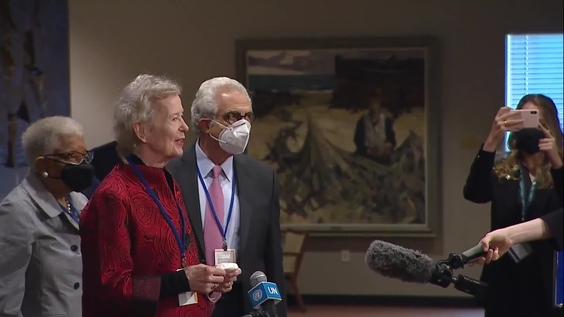 Security Council Media Stakeout (Maintenance of international peace and security)