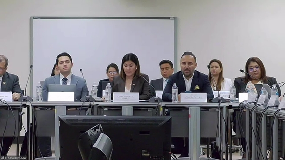 520th Meeting, 36th Session, Committee on Migrant Workers (CMW)