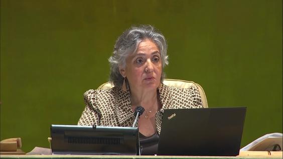 General Assembly: 87th plenary meeting