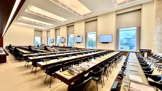 3017th Meeting, 93rd Session, Committee on the Elimination of Discrimination against Women (CEDAW)