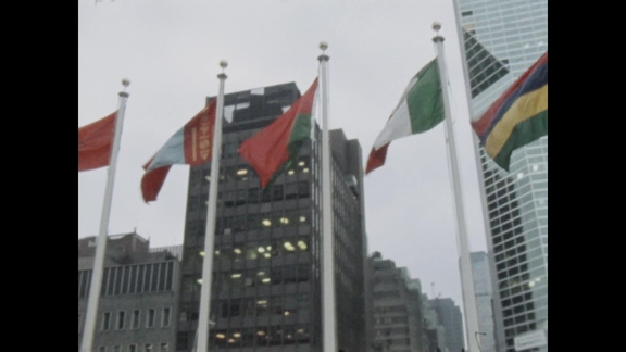 Comoros Flag Raising