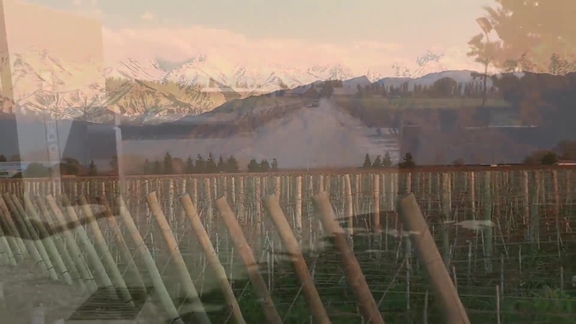 ARGENTINA: MALBEC WINERY CULTIVATES A SUSTAINABLE FUTURE