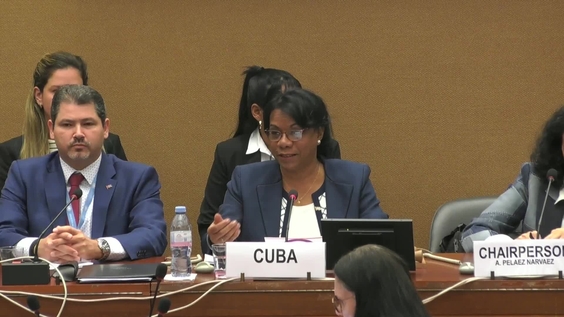 2106th Meeting, 89th Session, Committee on the Elimination of Discrimination against Women (CEDAW)