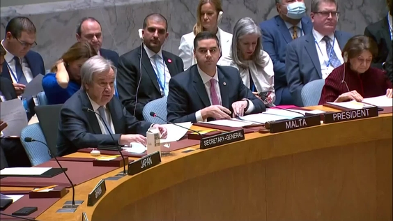 Maintenance of peace and security of Ukraine - Security Council, 9269th meeting