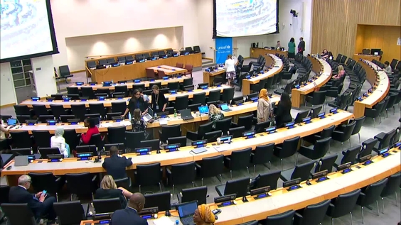 (3rd plenary meeting) UNICEF Executive Board, 2024 Annual Session