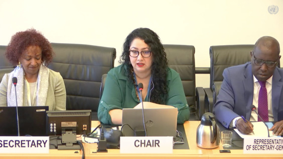 4113rd Meeting, 141st Session, Human Rights Committee (CCPR)