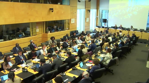3143rd Meeting, 115th Session, Committee on the Elimination of Racial Discrimination (CERD)