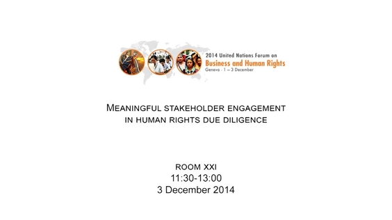 Meaningful stakeholder engagement in human rights due diligence - Forum on Business and Human Rights 2014