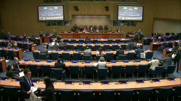 Committee on Information Disscuses Multilingualism, SDG's and Refugees at Opening Session