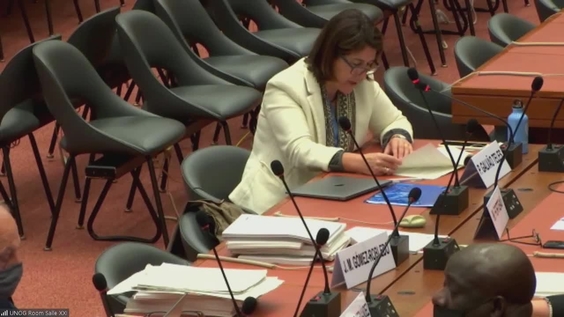 3576th meeting, 73rd session of the International Law Commission